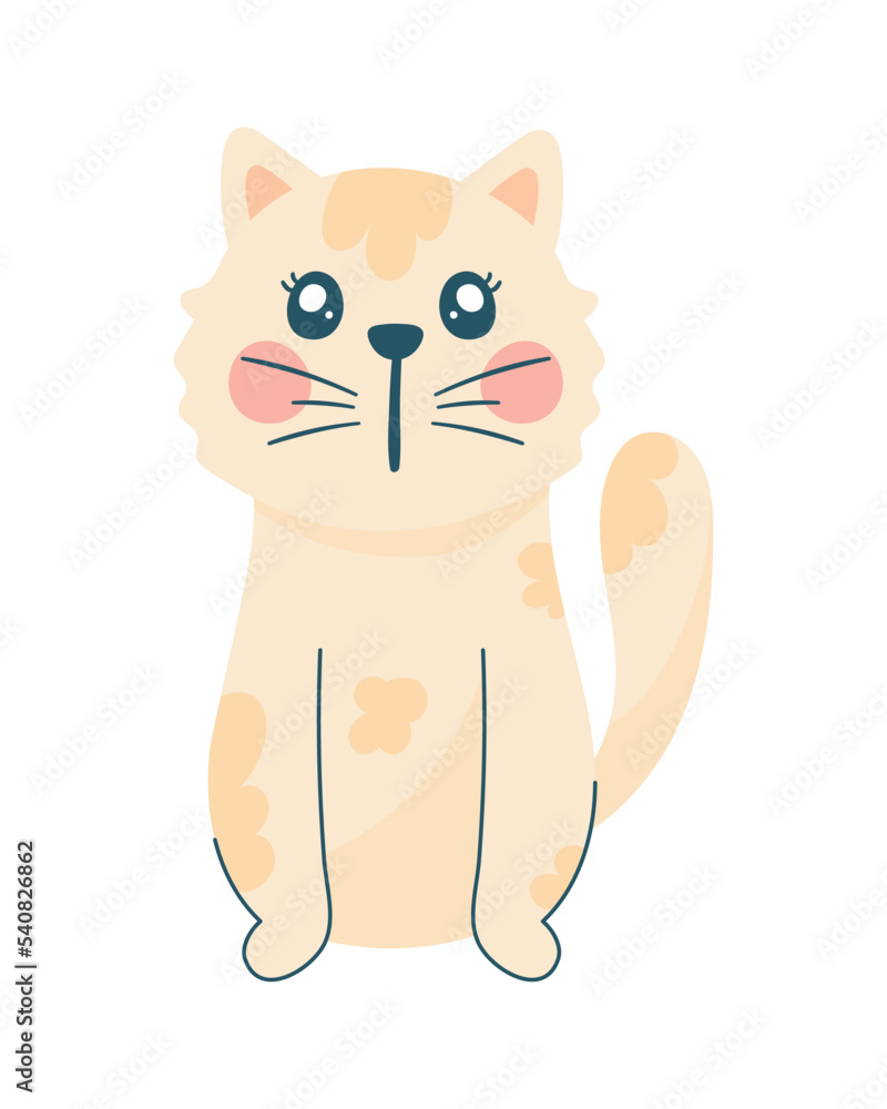 Obraz premium little cat seated front