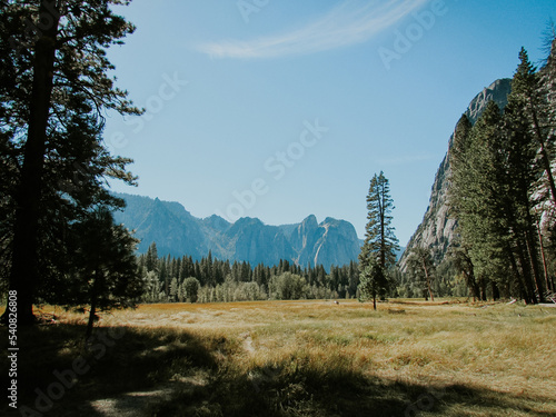 Yosemite National Park landscape with trees and clouds