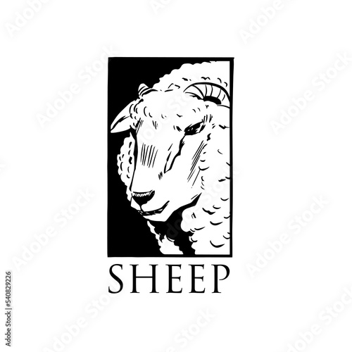 lone king of sheep LOGO