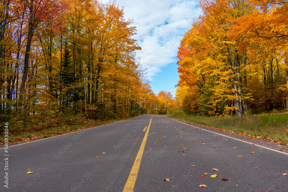 Scenic country road in autumn