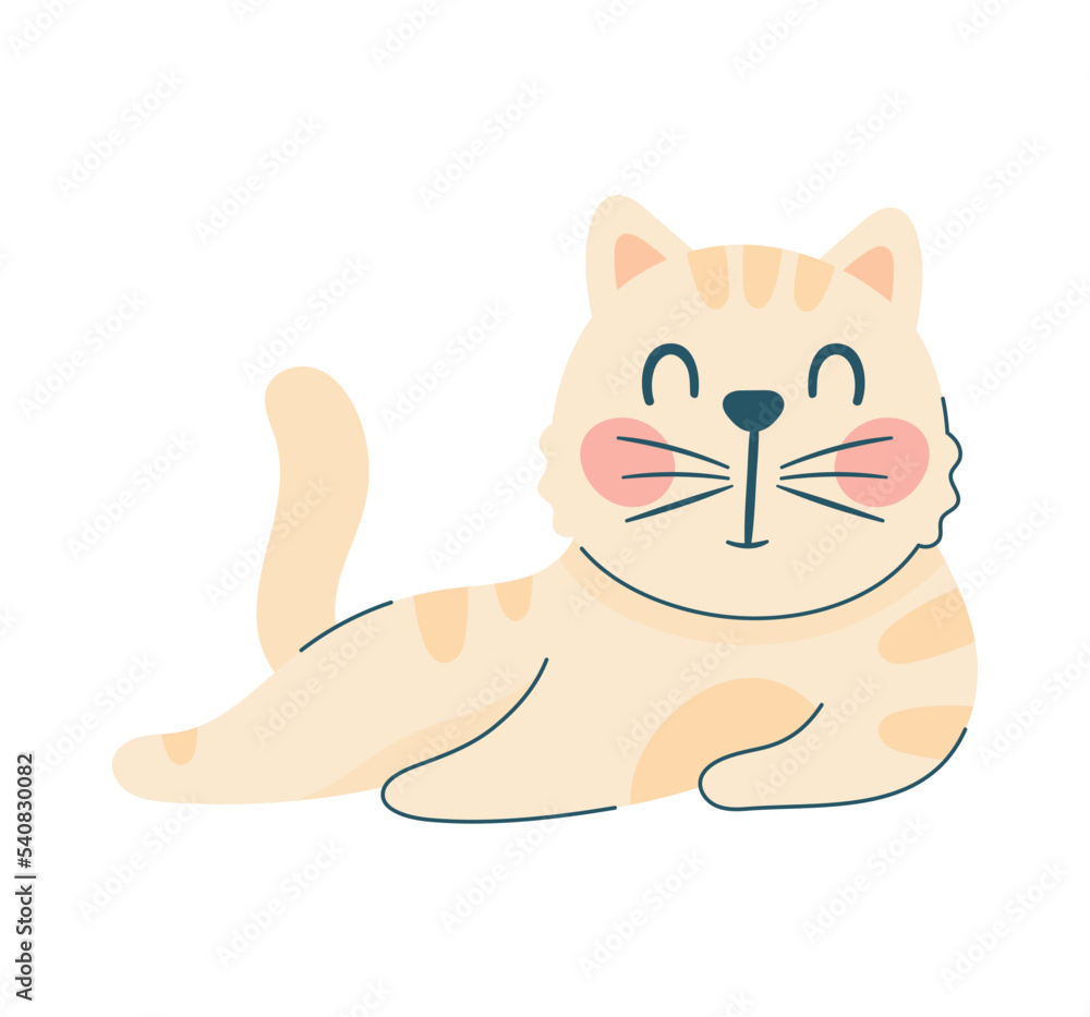 Obraz premium cute little cat posing