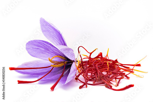 Saffron (Crocus sativus) flowers and spice dried