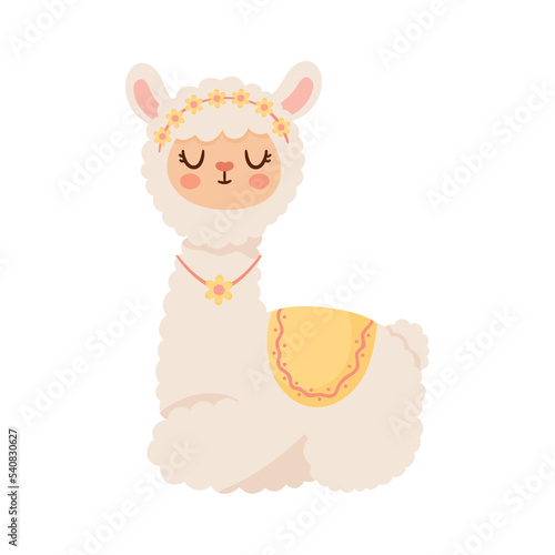 llama perubian lying