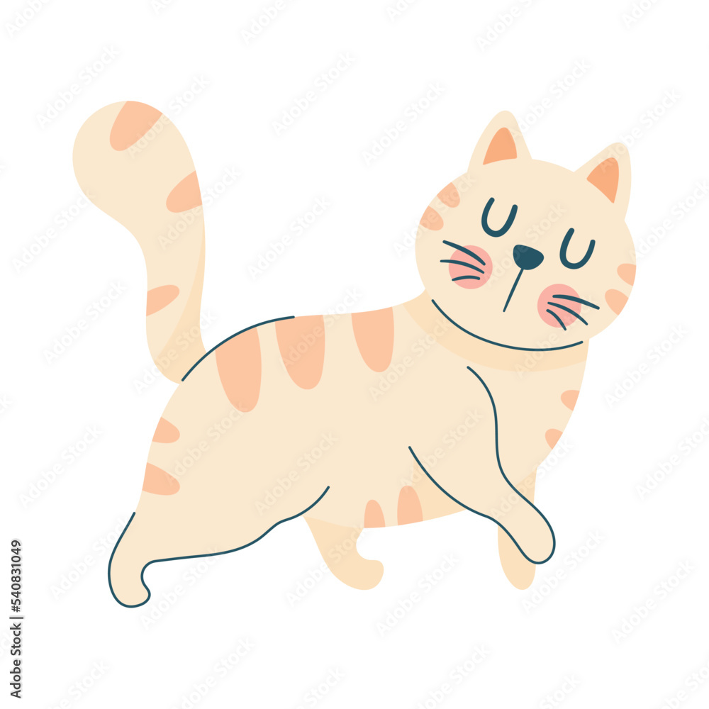 cute little cat walking cute little cat walking
