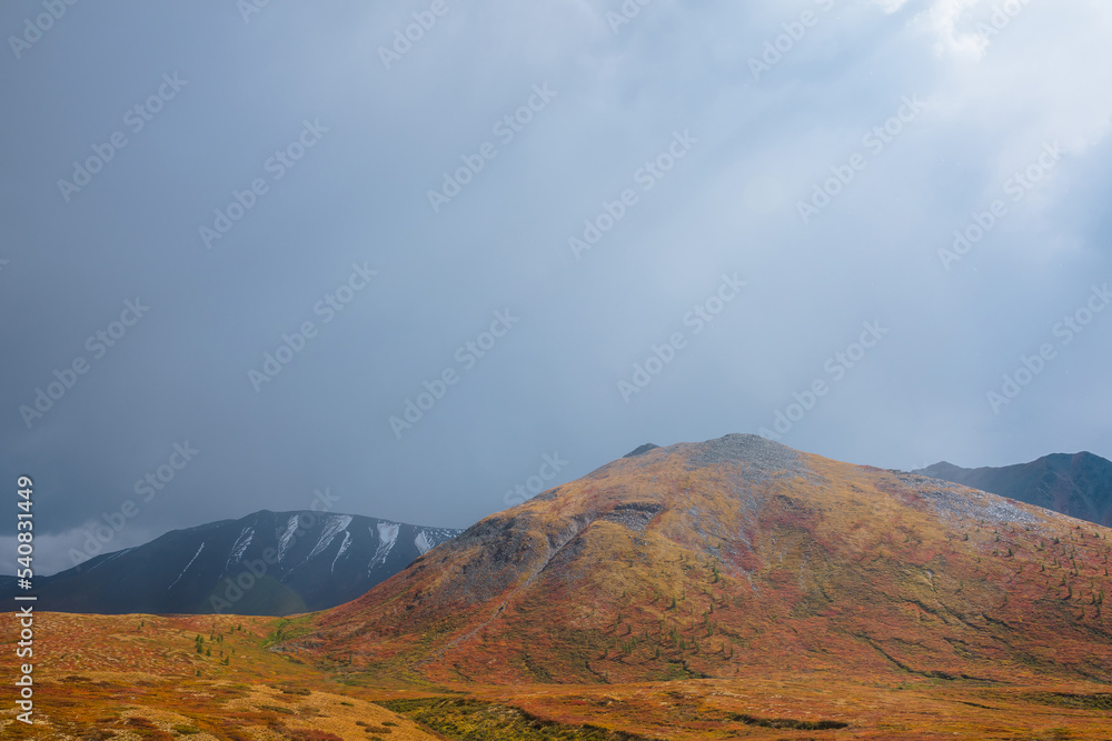 Motley autumn landscape with sunlit hill and mountain range silhouette during rain. Vivid autumn colors in mountains. Sunrays in dramatic sky above multicolor hill in sunlight. Sunbeams in gray sky.