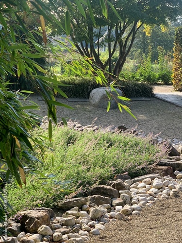 beautiful Japanese scene. Natural stone, gravel and plants create a japanese atmosphere. Pseudosasa japonica plant in the foreground. 
Appeltern, Netherlands, October 12, 2022 photo