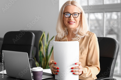 Mature businesswoman workin...