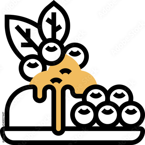 Blueberry icon