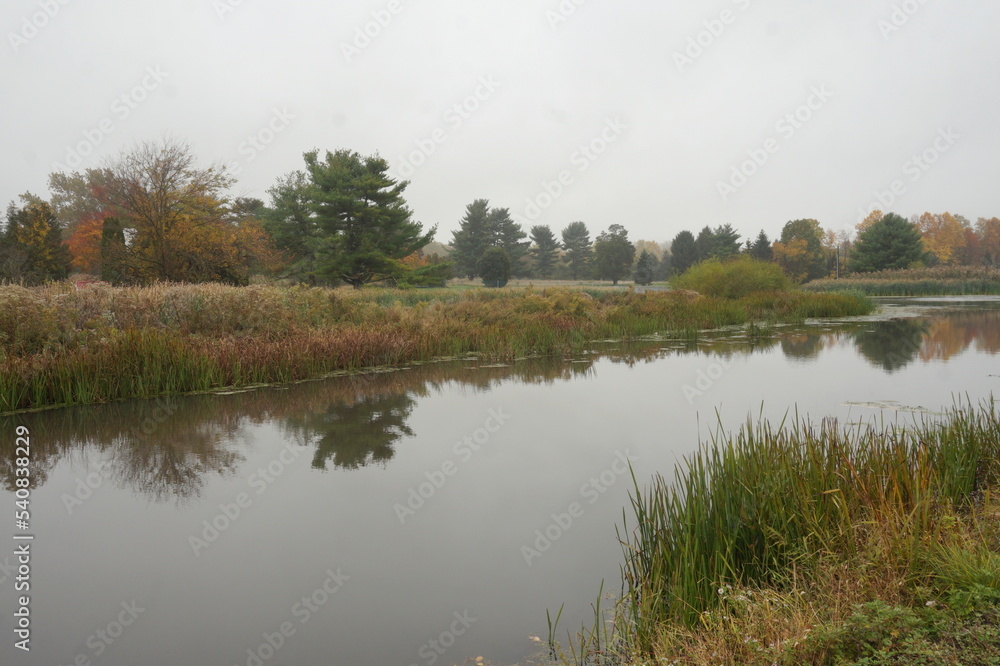 Landscape of Wetland in Autumn with Gold, Green Colored Trees and Reflection in Water on Overcast Day