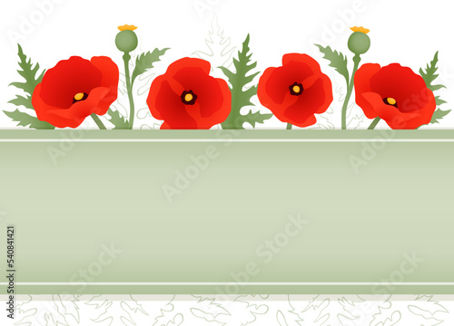 A row of poppy flowers and leaves, with a banner for copy space
