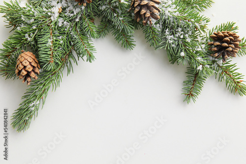 Fir tree branches with pine cones and snow on white background, closeup
