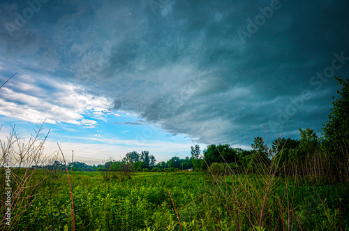 field and blue sky