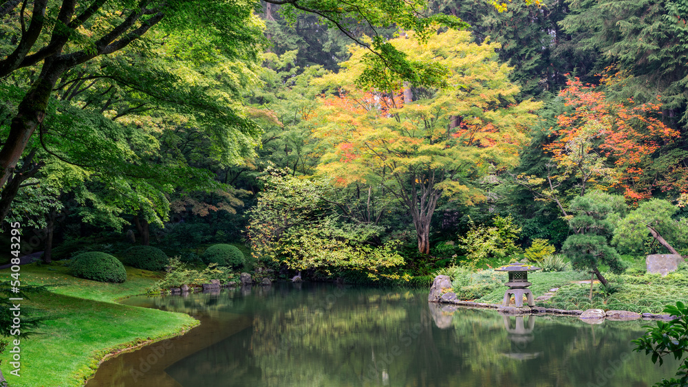  colorful tranquil japanese garden in fall