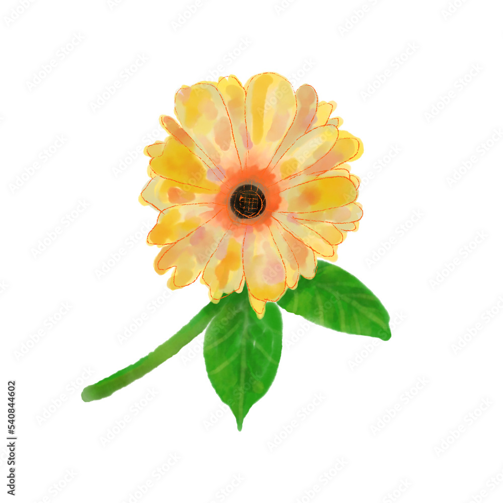 Flower Water color illustration imaginary plants yellow flower PNG Flower Water color illustration imaginary plants yellow flower PNG