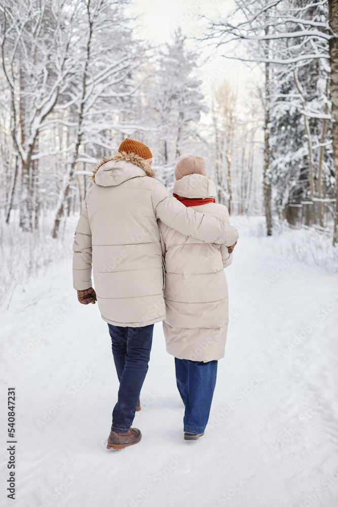 Vertical back view of adult couple enjoying walk in winter forest and embracing tenderly