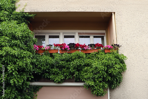 Balcony decorated with beautiful colorful flowers and green plant