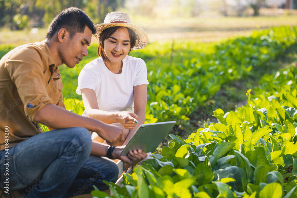 Smart farmer. Organic gardeners young man and women with tablet computer in morning light. Basket with vegetables in the hands of a farmer background of nature Concept. Smart farmer concept. Smart farmer. Organic gardeners young man and women with tablet computer in morning light. Basket with vegetables in the hands of a farmer background of nature Concept. Smart farmer concept.