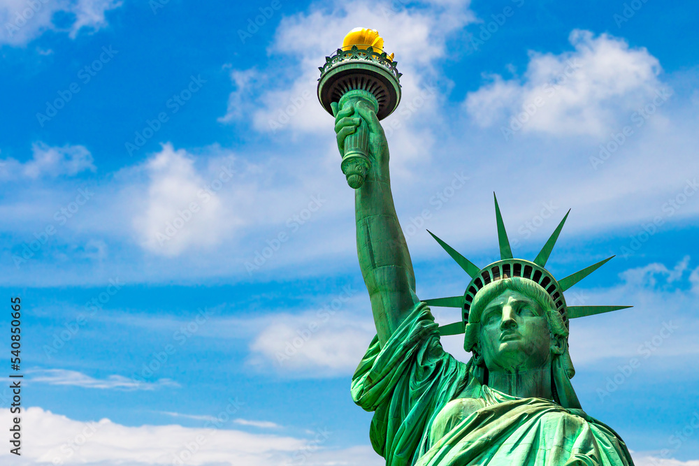 Fototapeta premium Statue of Liberty in New York