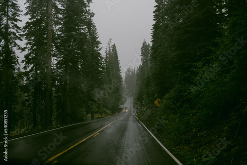 road in the foggy forest