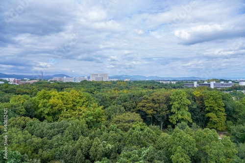 展望台から見下ろす色づき始めた広大な公園の情景＠大阪