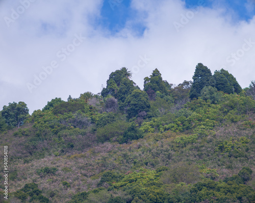 Clouds over the Mountain Top. © ttrimmer