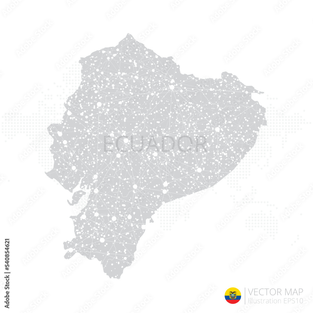 Ecuador grey map isolated on white background with abstract mesh line and point scales. Vector illustration eps 10