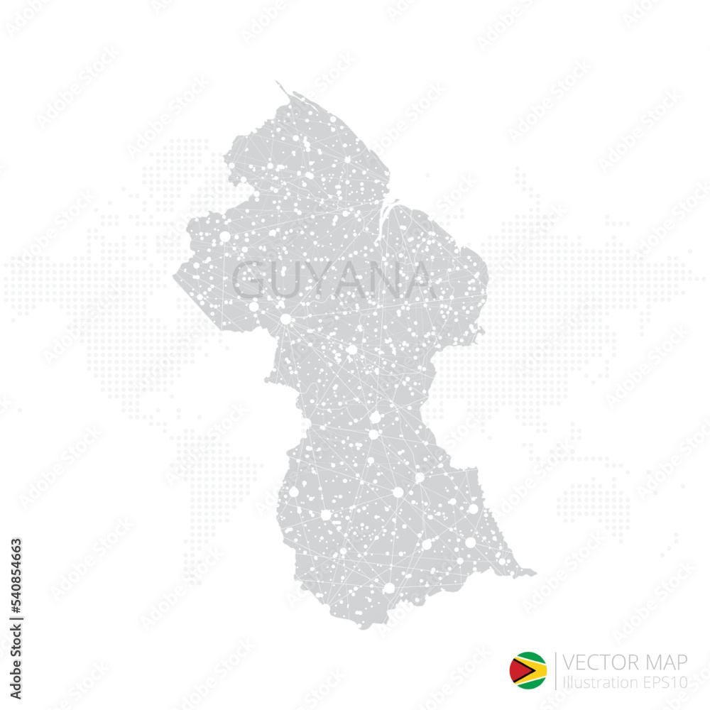 Guyana grey map isolated on white background with abstract mesh line and point scales. Vector illustration eps 10