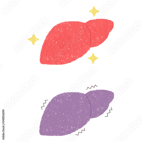 手描きの健康な肝臓と不健康な肝臓のセット　PNG