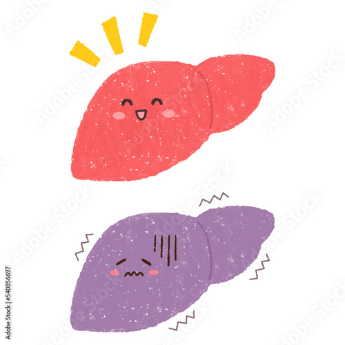 手描きの健康な肝臓と不健康な肝臓のセット　PNG