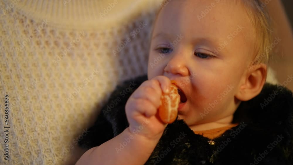 Headshot portrait of toothless charming baby girl sucking mandarin sitting in hands of unrecognizable woman indoors. Close-up of cute Caucasian child enjoying tasty healthful fruit Headshot portrait of toothless charming baby girl sucking mandarin sitting in hands of unrecognizable woman indoors. Close-up of cute Caucasian child enjoying tasty healthful fruit