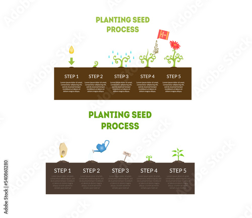 Planting Seeds Steps and Process Infographic Design Vector Set