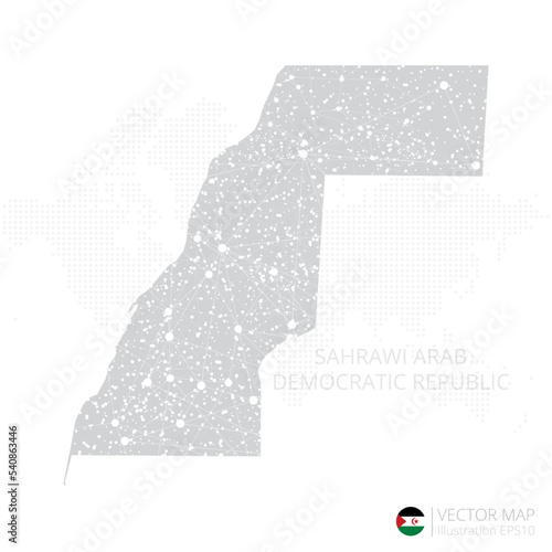 Sahrawi Arab Democratic Republic grey map isolated on white background with abstract mesh line and point scales. Vector illustration eps 10 photo