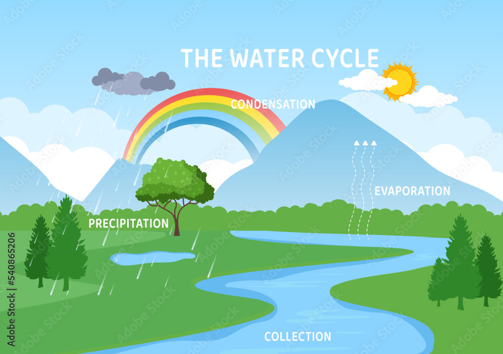 Water Cycle of Evaporation, Condensation, Precipitation to Collection