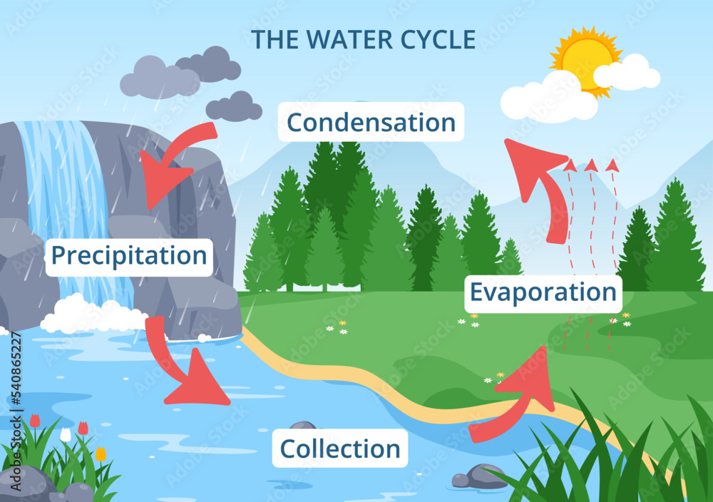 precipitation water cycle