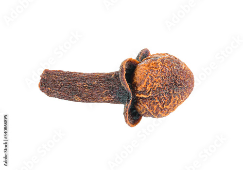 dry cloves on transparent png photo