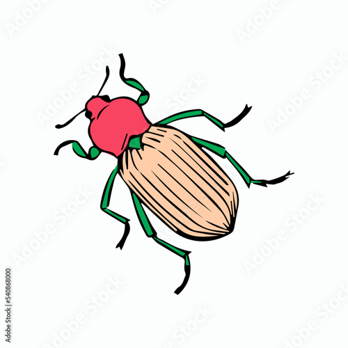 vector beetle on white background