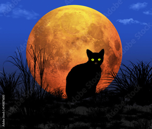A black cat is seen at night with a orange full moon in the background. This is a 3-d illustration.