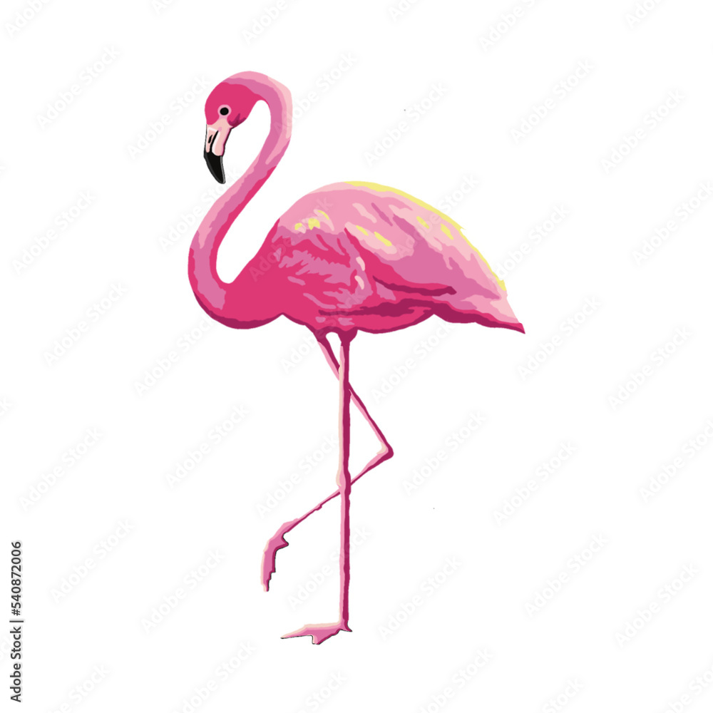 Fototapeta premium pink flamingo on white background