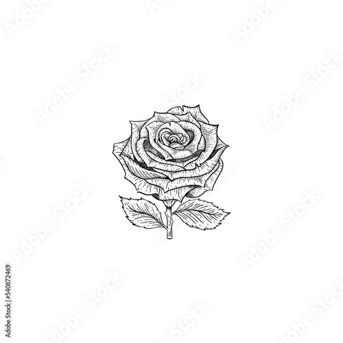 Tatto Design Very Cool Concept