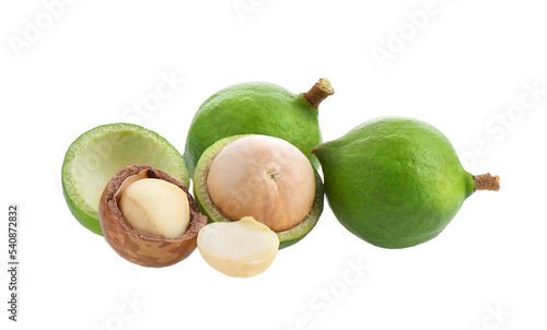 macadamia nuts isolated on transparent png