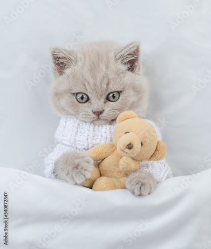 Cute kitten wearing warm sweater hugs favorite toy bear under white warm blanket on a bed at home.Top down view © Ermolaev Alexandr