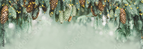 Winter Christmas tree branches with cones in blurred defocused snow with lights border. Copy space. Wide banner. Selective focus on cones photo