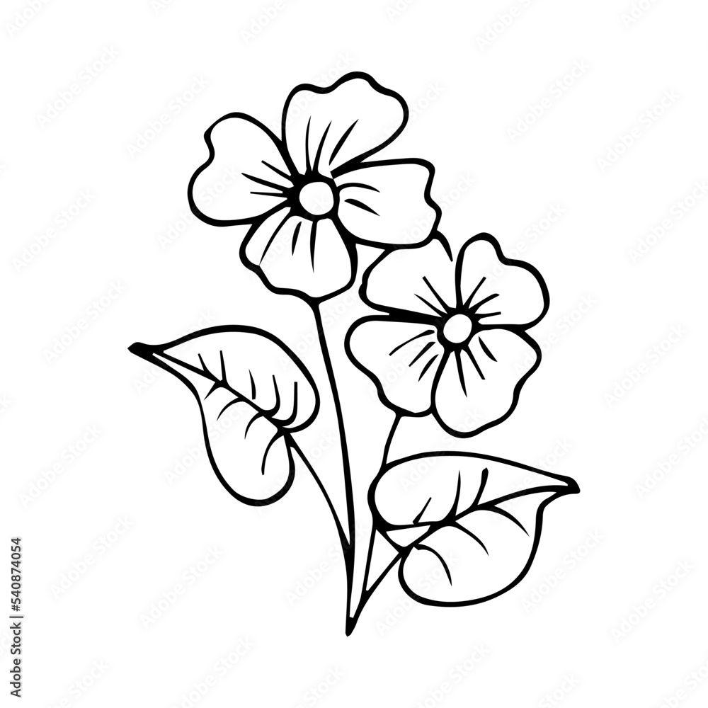 hand drawn botanical flower doodle element for floral design concept