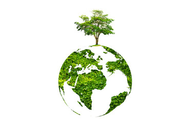 tree in the green globe Isolate on transparent background PNG file