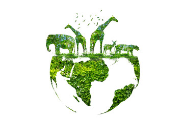 Wildlife shadows in a green globe Isolate on transparent background PNG file