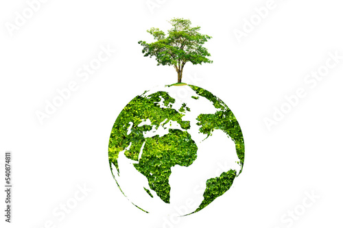 tree in the green globe Isolate on transparent background PNG file