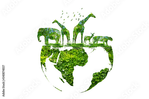Wildlife shadows in a green globe Isolate on transparent background PNG file
