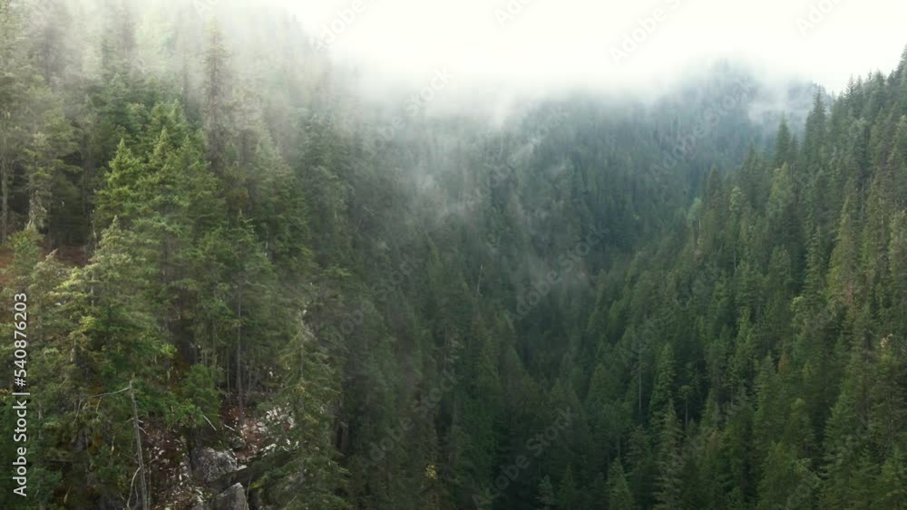 Establishing flight through a remote misty canyon Establishing flight through a remote misty canyon