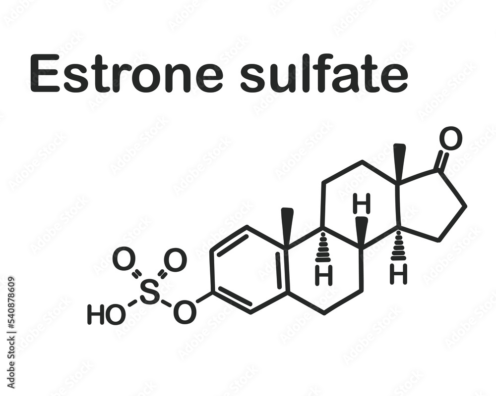 Structural chemical formula of estrone sulfate isolated on white background. Structural chemical formula of estrone sulfate isolated on white background.