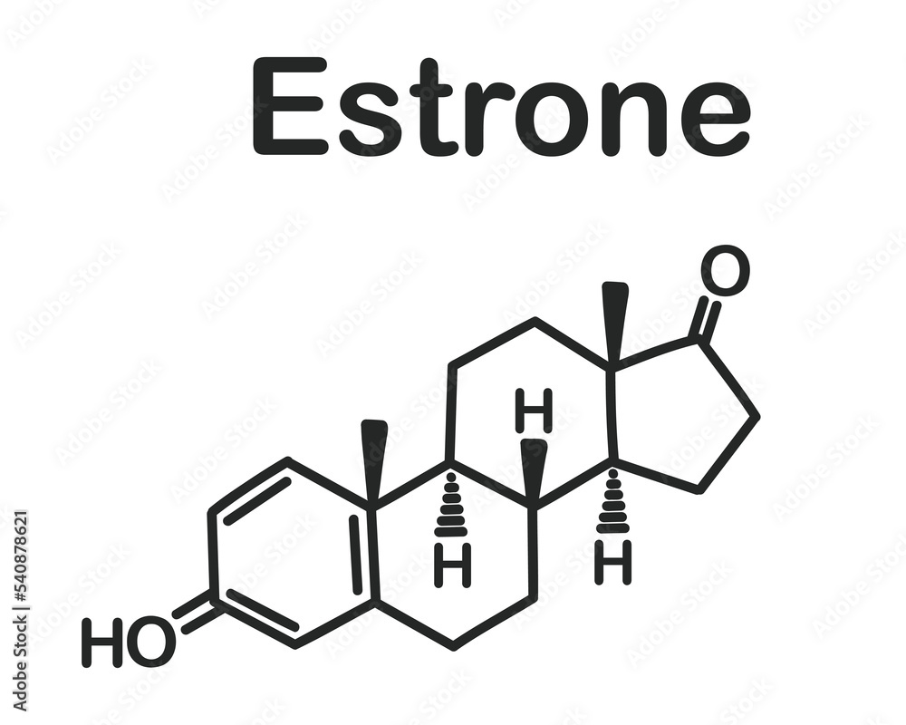 Structural chemical formula of estrone isolated on white background. Structural chemical formula of estrone isolated on white background.
